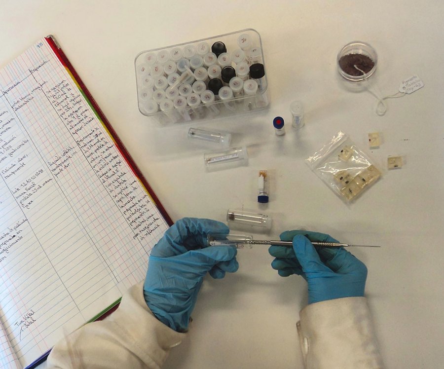 Desarrollan el primer banco de muestras para apoyar la conservación de bienes culturales