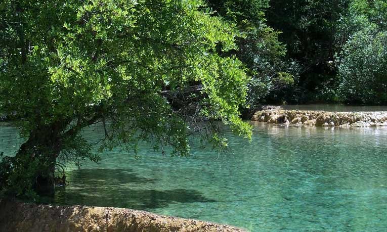 APRUEBAN CREACIÓN DEL COMITÉ DE CUENCA DEL RIO AXTLA PARA COMBATIR SEQUIA Y CONTAMINACIÓN