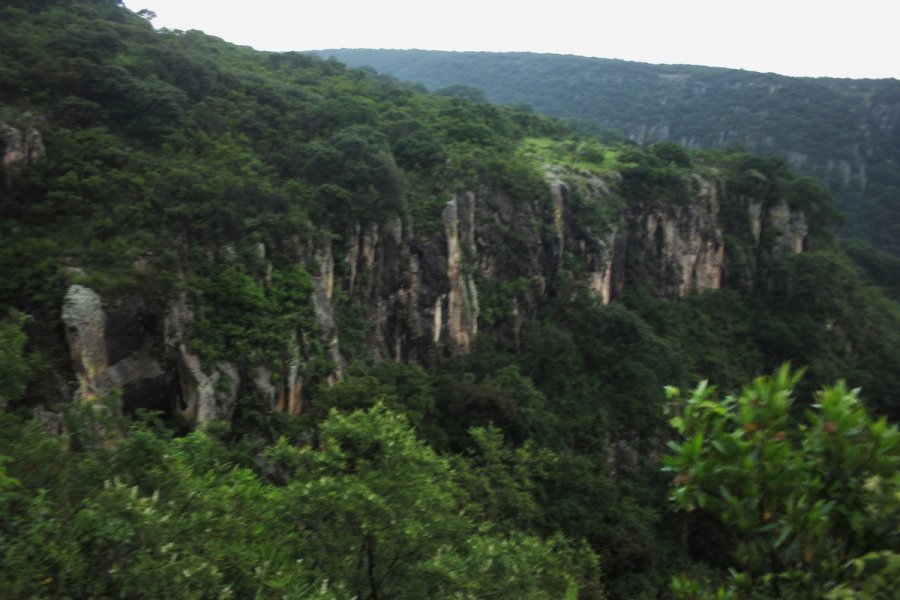 Un hecho el Plan de Manejo de la Sierra Fría