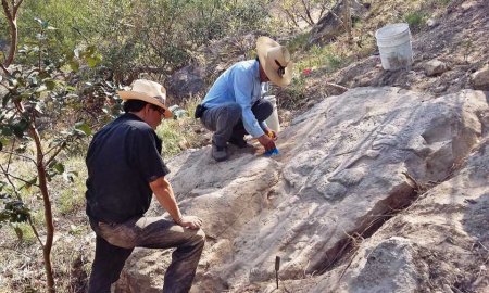 Descubren en Chalcatzingo, Morelos, un bajorrelieve con la representaciÃ³n de un felino 