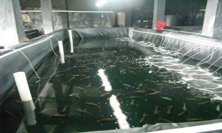 Sepesca promueve la producciÃ³n en los sistemas lagunarios