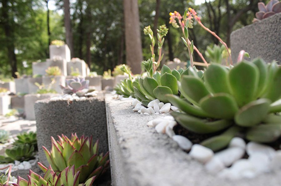 GANAN ARQUITECTOS DE LA UNAM CONCURSO DEL FESTIVAL FLORES Y JARDINES, MÉXICO 2016