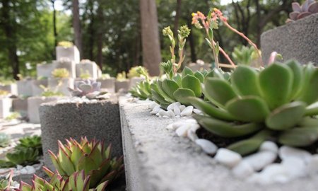GANAN ARQUITECTOS DE LA UNAM CONCURSO DEL FESTIVAL FLORES Y JARDINES, MÃ‰XICO 2016 