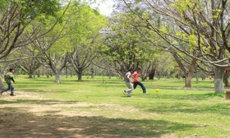 Rehabilitan Bosque y Unidad Deportiva â€œEl Tequioâ€