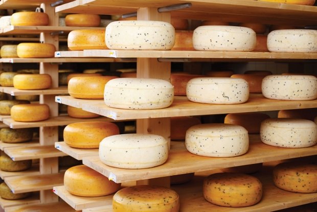 Realizarán Cuarto Festival del Queso, del 15 al 17 de julio, en Tenosique: SDET