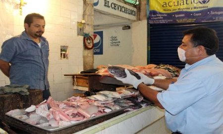 Al momento no existe fenÃ³meno de Marea Roja en costas oaxaqueÃ±as: SSO