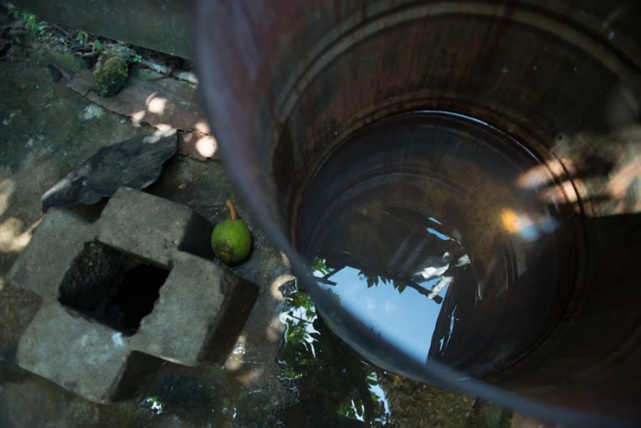 Colima fuera de los 10 primeros lugares a nivel nacional en dengue