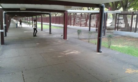 IMPULSA IPN NUEVAS GENERACIONES DE INVESTIGADORES