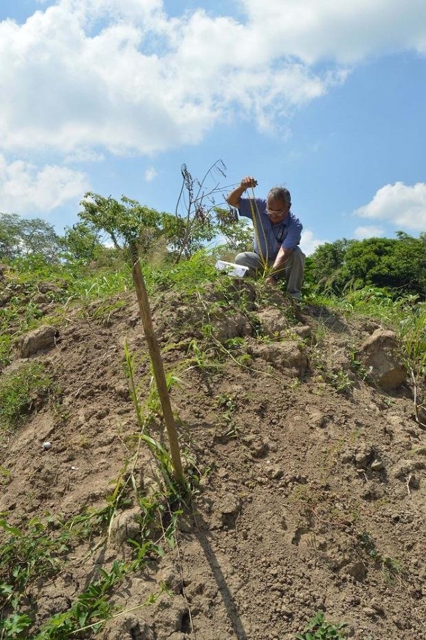 Con recursos por 91.2 mdp se fortalece el campo para diversificar la economía