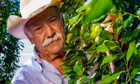Las buenas prÃ¡cticas en el campo, desarrollo y seguridad