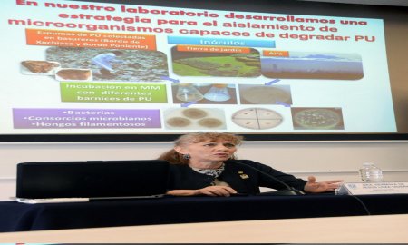 IDENTIFICAN EN LA UNAM MICROORGANISMOS CAPACES DE DEGRADAR POLIURETANO CON MAYOR EFICIENCIA