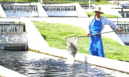 Buenas PrÃ¡cticas AcuÃ­colas, garantÃ­a de salud