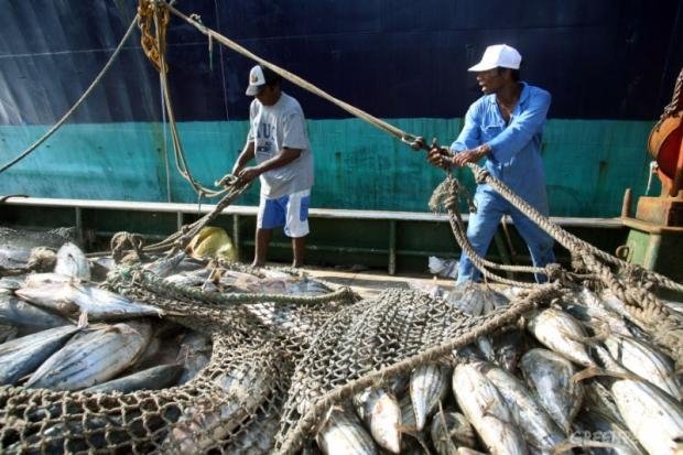 Se Incrementará pesca en Tabasco tras liberación de área límite con Campeche