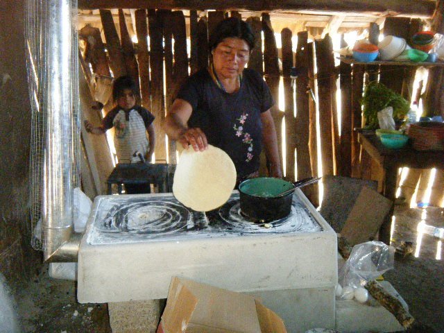 Si usas carbón o leña en tu hogar, una chimenea o campana ayuda a expulsar los gases nocivos