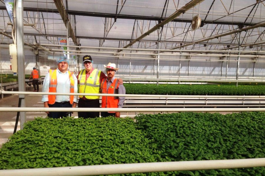 Acercarán tecnologías utilizadas en Europa a productores michoacanos