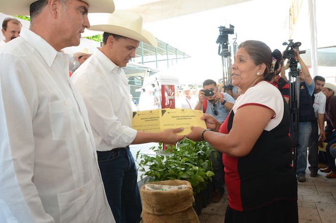 Productores de café agradecen apoyo del Gobernador