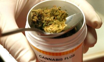 Aprueban regular uso médico de la cannabis