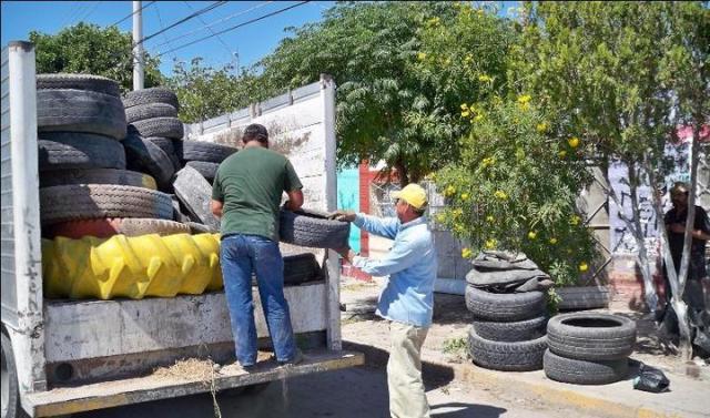 Se confirma primer caso de zika en el Estado