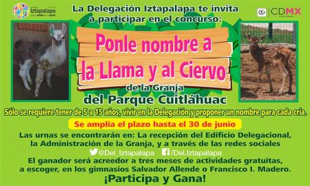 RECIBIRÃ IZTAPALAPA PROPUESTAS PARA NOMBRE DE CRÃAS DE LLAMA Y CIERVO HASTA FIN DE MES