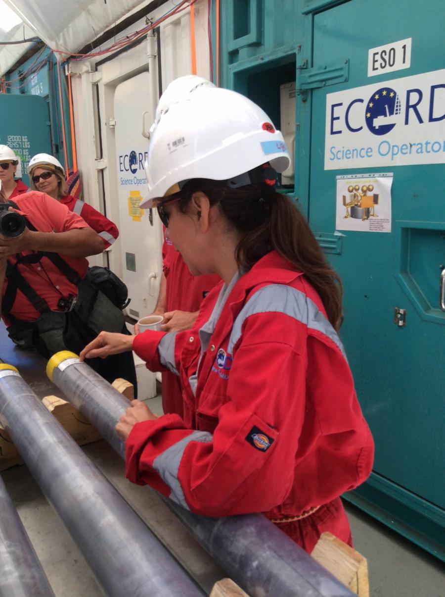 INDAGAN CENTENARES DE MUESTRAS OBTENIDAS DEL SECTOR MARINO DEL CRÁTER CHICXULUB