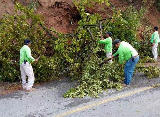 Chiapas refuerza vigilancia para reducir riesgos por derrumbes en temporada de lluvias