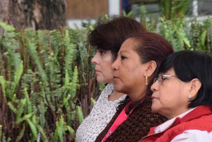 Organizaciones nacionales y locales observarán la votación del próximo 4 de septiembre en la CDMX