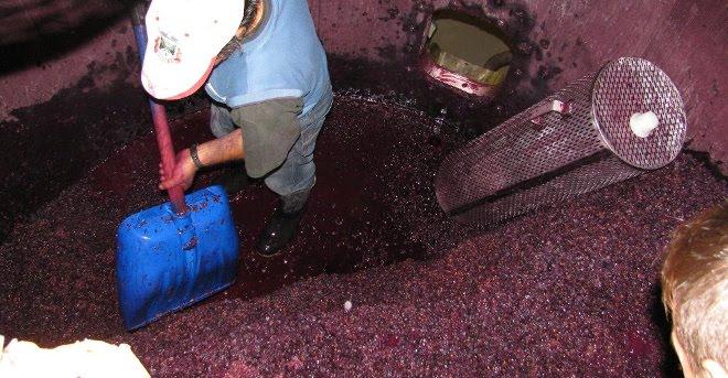 Aumentar producción e inversión en la industria del vino