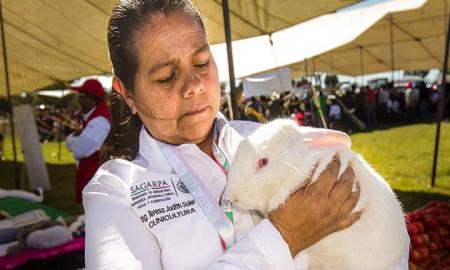 Todo sobre la producciÃ³n de carne de conejo