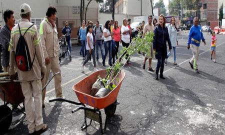 Plantan Ã¡rboles en colonias de MH