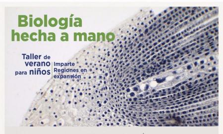 BiologÃ­a hecha a mano, taller de verano que unirÃ¡ arte y ciencia