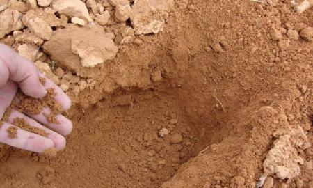 EN LA UNAM, PRIMER LABORATORIO SOBRE MAGNETISMO EDÃFICO EN EL PAÃS