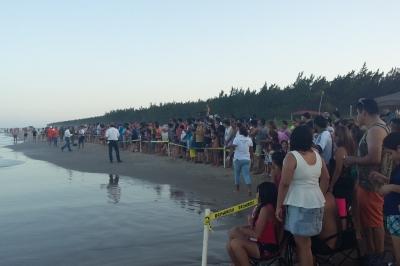 Impulsa economÃ­a la liberaciÃ³n de tortugas