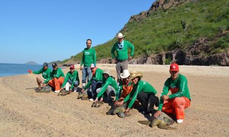 Inicia diplomado virtual â€œformaciÃ³n tecnolÃ³gico ambiental para la sustentabilidadâ€