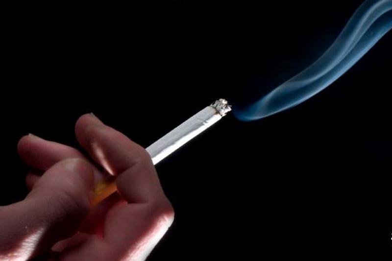 Informan SHCP y PGR acciones para erradicar comercio ilícito de tabaco y su consumo