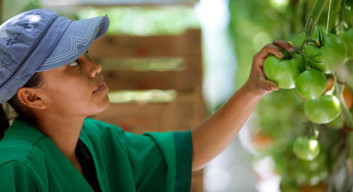 MÃ©xico en capacitaciÃ³n de jÃ³venes esâ€¦ Â¡Calidad Suprema!