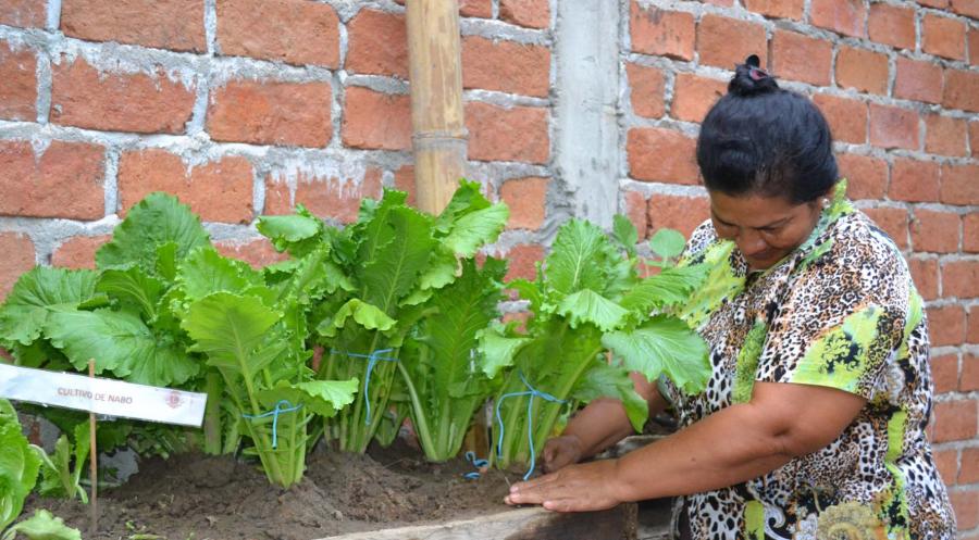 Total apoyo federal y estatal a lecheros y huertos familiares