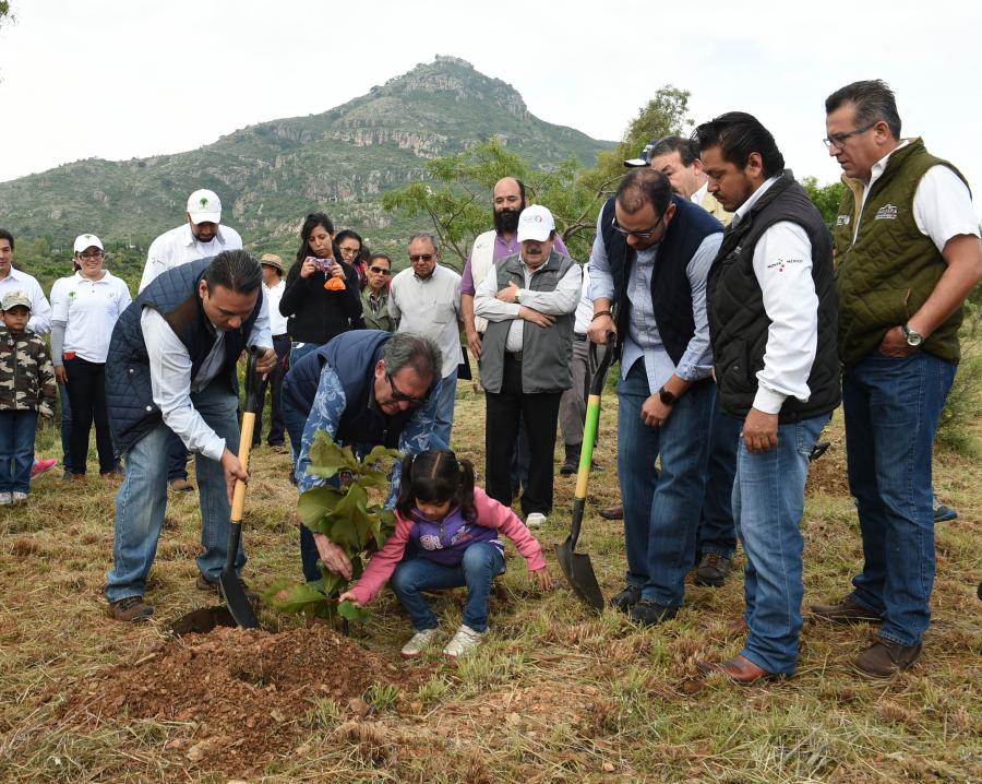 Dio inicio la Jornada de Reforestación 'Nuevo Bosque 2016'