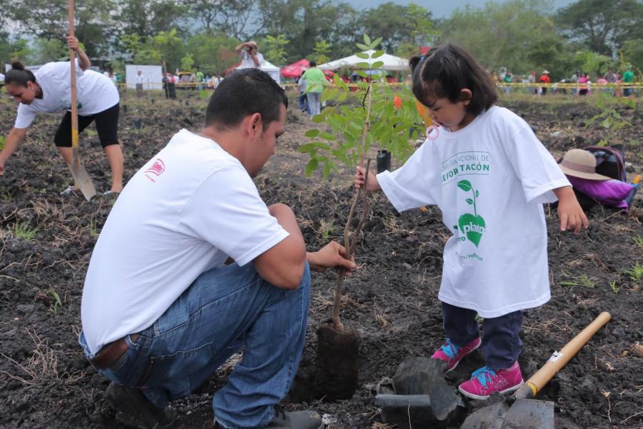 Arranca Campaña Nacional de Reforestación 2016