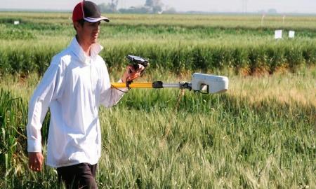 Desarrollo tecnolÃ³gico para el campo mexicano