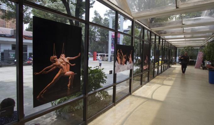 Exhiben en el Encuentro Nacional de Danza 2016 fotografías que congelan el arte del movimiento