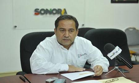 PrevÃ©n buena temporada de captura de camarÃ³n en Sonora