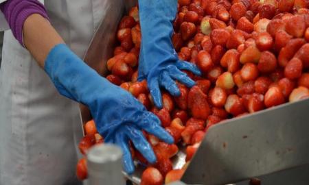 Aumentan vida de fruta en anaquel con biopelÃ­culas comestibles