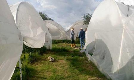 Ayuda CEC Durango a consolidar microempresas en sectores vulnerables