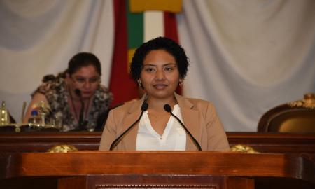 RECORTE AL FONDO DE CAPITALIDAD AFECTARA AL DESARROLLO SOCIAL Y A LA SEGURIDAD PÃšBLICA DE LA CMDX