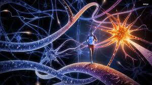 Exhorta SEDESO a realizar ejercicios para prevenir el alzheimer