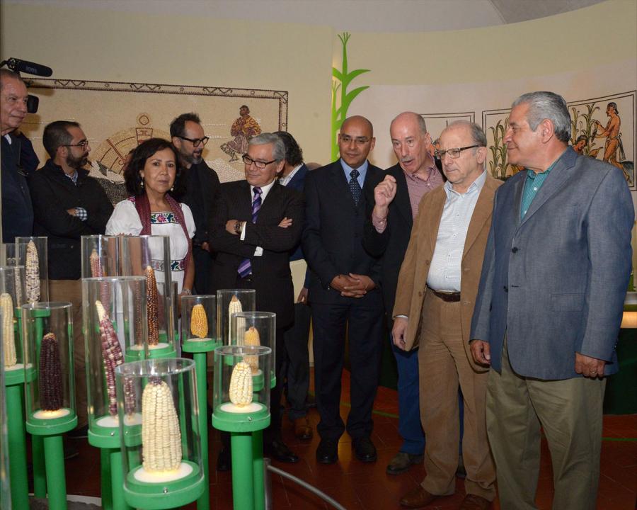EXPOSICIÓN MUESTRA A LA MILPA COMO PATRIMONIO BIOCULTURAL