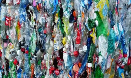 Encuentran hongo que degrada plÃ¡sticos en menos de tres dÃ­as