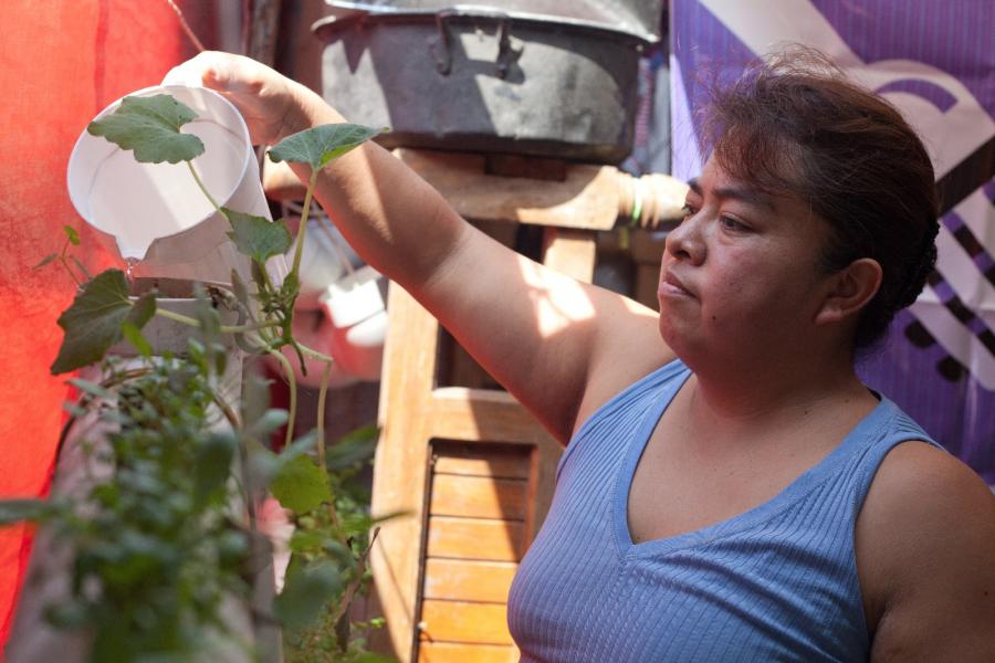 El Programa de Comedores Comunitarios se enriquece con la creación de huertos en ellos