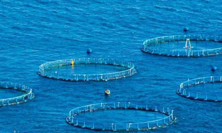 Â¡SumerjÃ¡monos en el DÃ­a Mundial de los Mares!
