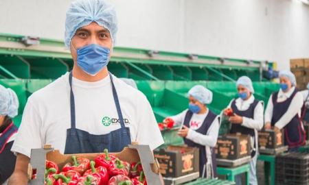 Agroindustria, transformaciÃ³n sin lÃ­mites